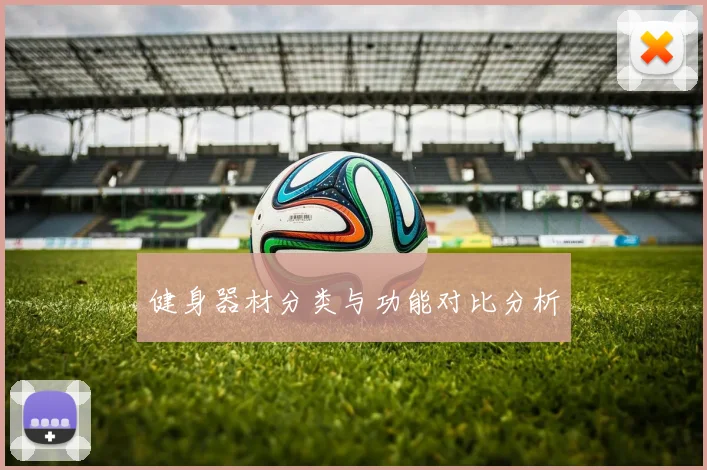 健身器材分类与功能对比分析